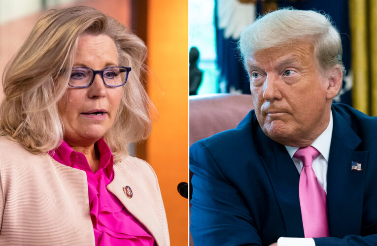 Analysis: Republican leaders who defy Donald Trump feel the heat from his base