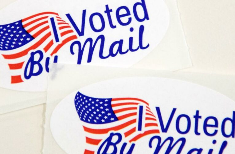 Purges, poll watchers and gridlock: Five developments in the voting battles
