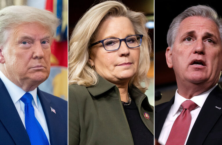 Cheney on Trump: ‘He’s going to unravel the democracy to come back into power’