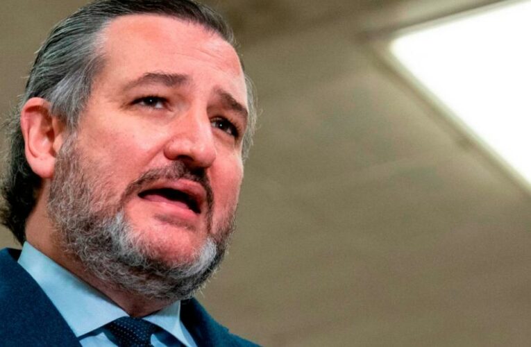 Opinion: Ted Cruz says no Latino uses the term ‘Latinx.’ Some do, and the reasons are not simple