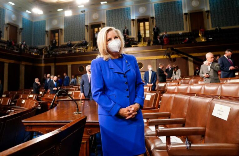 Liz Cheney is not shying from this fight