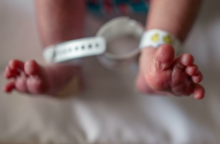 New data is starting to paint a picture of whether this past year in the US was a baby boom or bust