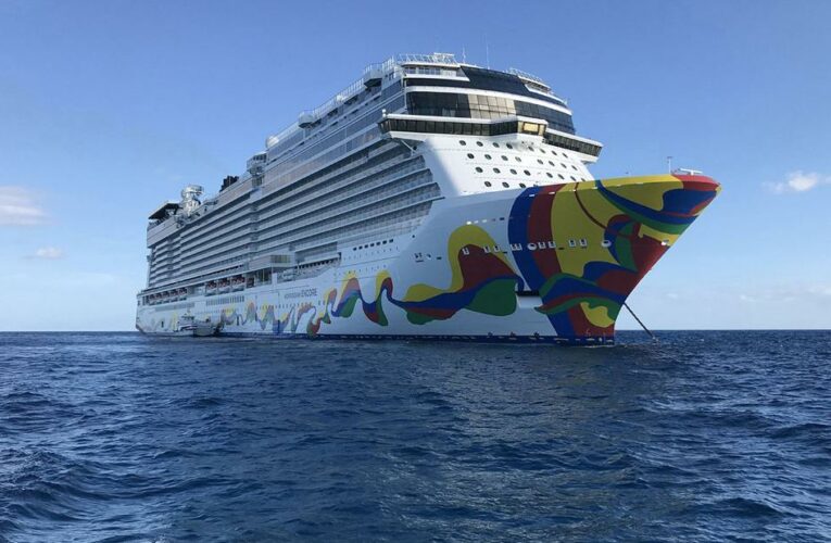 Norwegian cruises may suspend Florida departures due to a law prohibiting businesses from asking about vaccination status, the company’s CEO says