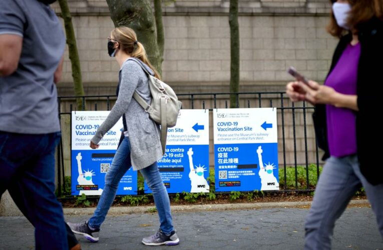 While the pace of coronavirus vaccinations may be slowing, experts are optimistic about where the country will be in just weeks