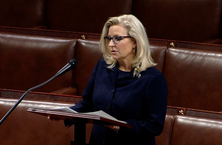 The Wyoming Republican gave an impassioned speech, saying, ‘Our election was not stolen. And America has not failed.’