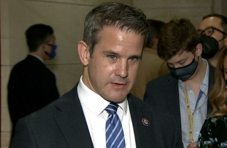 GOP Rep. Kinzinger describes how the Cheney vote took place
