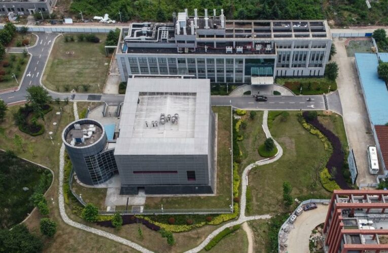 Pompeo-led effort to hunt down Covid lab theory shut down by Biden administration over concerns about quality of evidence