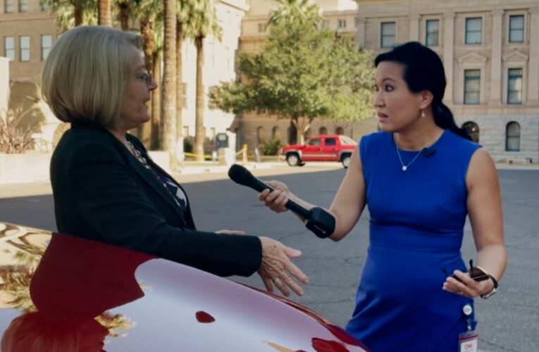 CNN confronts woman behind bogus Arizona audit
