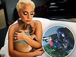 Lady Gaga dognappers ‘prowled Hollywood neighborhood looking for expensive pets to steal’