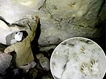 More than 100 children’s handprints found on a Mexican cave that were made some 1,200 years ago