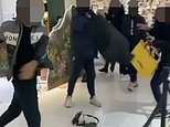 Moment mass knife brawl erupts INSIDE Oxford Street Selfridges, with one stabbed and seven arrested 