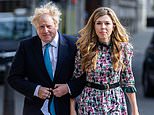 It sounds cuddly but Boris Johnson is stepping into a moral quagmire, writes HENRY MANCE