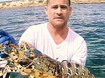 Fisherman catches giant crayfish in Australia but it’s not just the catch that’s got people talking