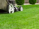 Super grass: Six top tips to make your lawn worthy of a five-star hotel