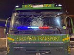 ‘Migrants’ attack lorry at Calais with iron bars and breeze blocks