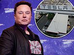 Elon Musk hints Tesla may have DUMPED the rest of its Bitcoin holdings in cryptic tweet