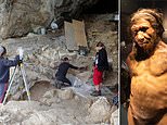 Traces of Neanderthal DNA extracted from cave dust