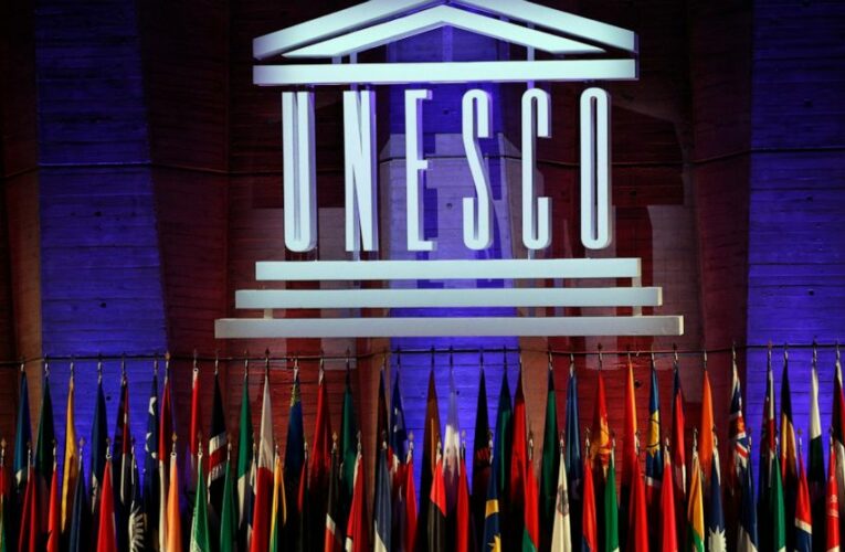 Beyond vaccines, UNESCO wants more global science shared