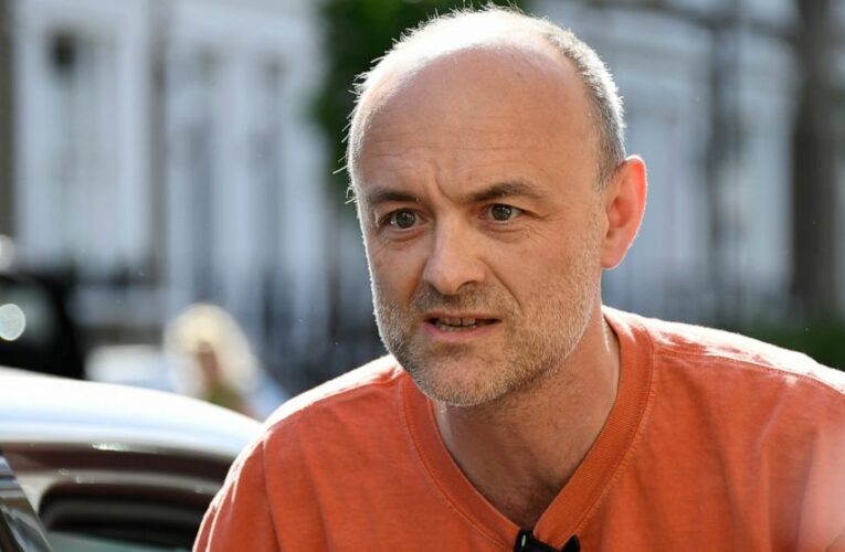 Boris Johnson’s former ally slams UK virus response