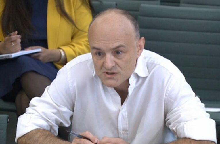 Ex-Johnson aide lambasts UK government over COVID failures