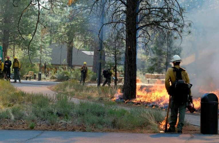 ‘Nothing looks good’ preparing for summer wildfire season