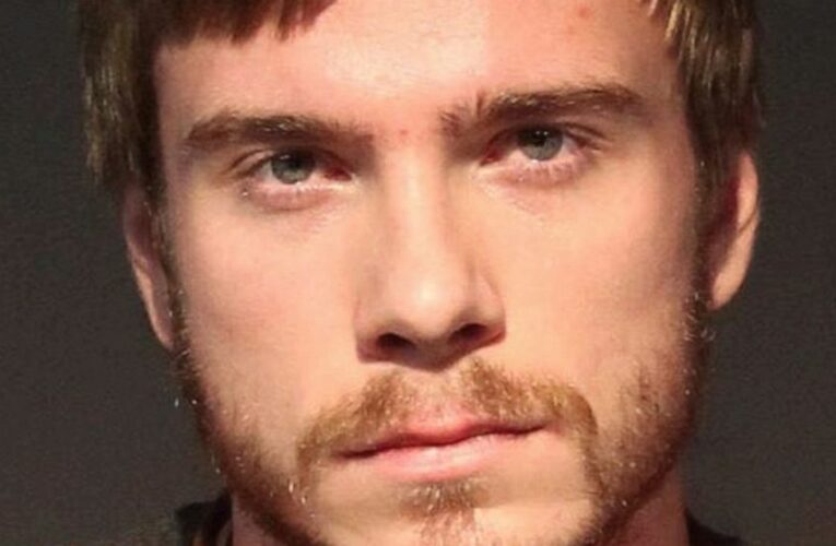 Russian to be deported after failed Tesla ransomware plot