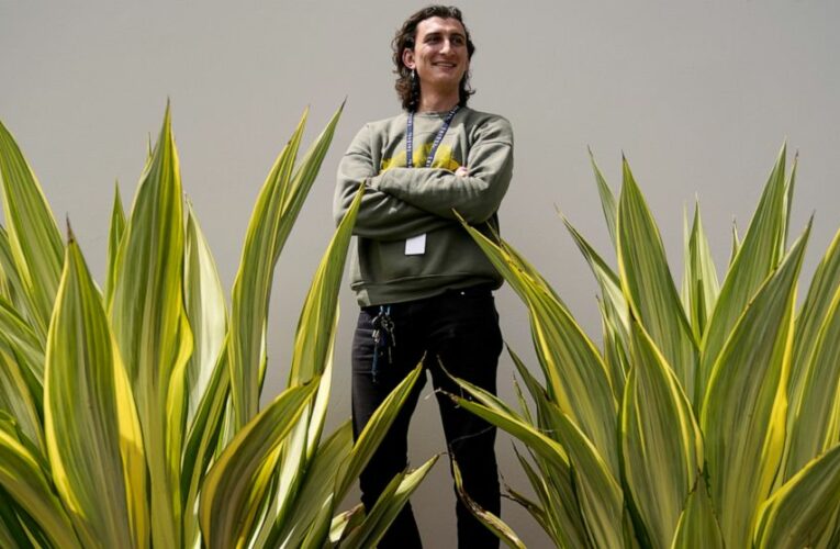 Job market for new grads: Much hiring but much competition