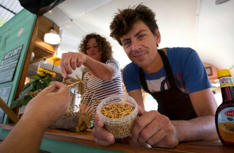 Food of the future? EU nations put mealworms on the menu