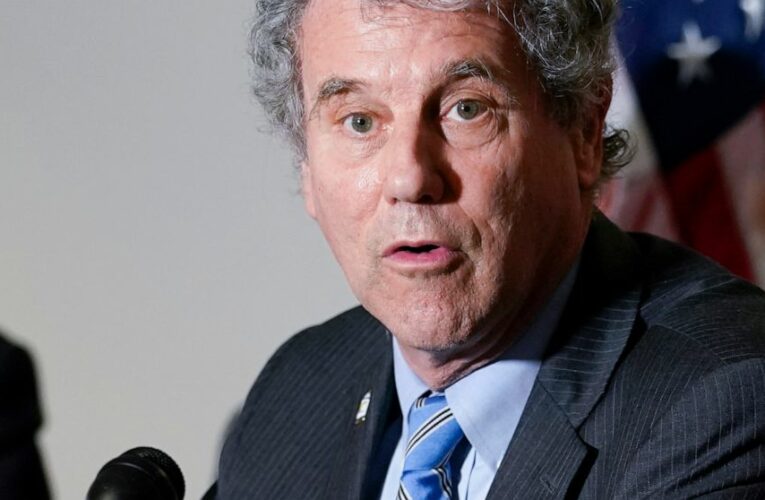 Bank CEOs outline pandemic support; senators split on issues