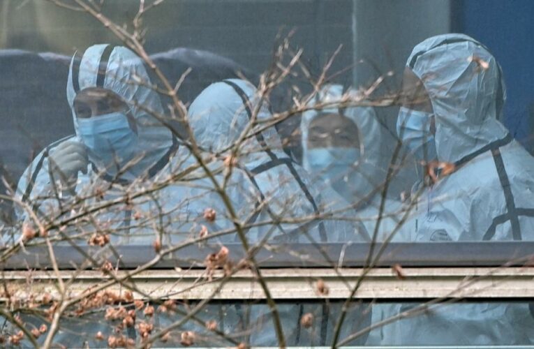 Uncovering the origins of the virus that sparked a pandemic