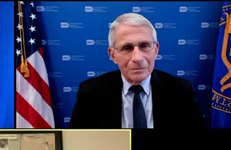 ‘American tragedy’: Fauci on not making use of vaccines in US