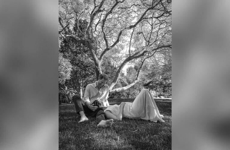 Harry and Meghan announce the birth of their second child, Lilibet Diana, named after the Queen and the late Princess of Wales