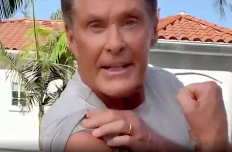 Hear ‘Baywatch’ star’s Covid-19 vaccine message