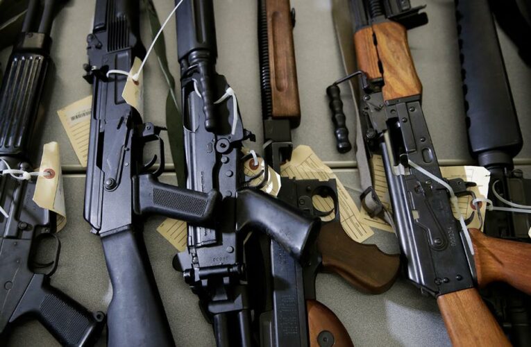 California appeals judge’s ruling that overturned state’s ban on assault-style weapons