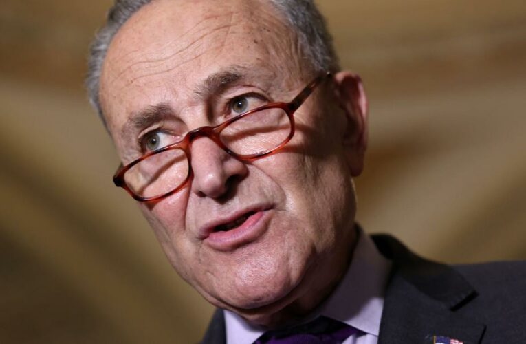 Chuck Schumer is facing a cold legislative reality