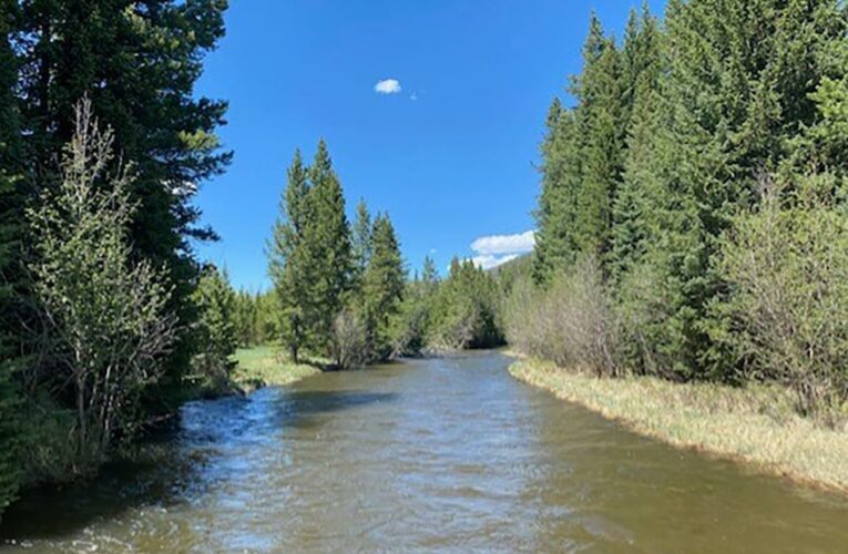 A ranch is running out of water in the West’s historic drought. ‘In 85 years, it’s not been this bad.’