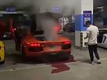 Lamborghini supercar goes up in smoke when driver tries to grill meat on exhaust 