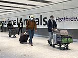 Fewer than one in 200 amber list travellers test positive for Covid on their return, figures show