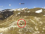 Not safe anywhere! Couple are caught having sex by webcam 6,500ft up Austrian mountain 