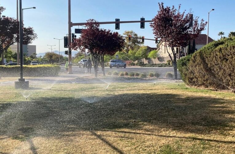 Drought-stricken Nevada enacts ban on ‘non-functional’ grass