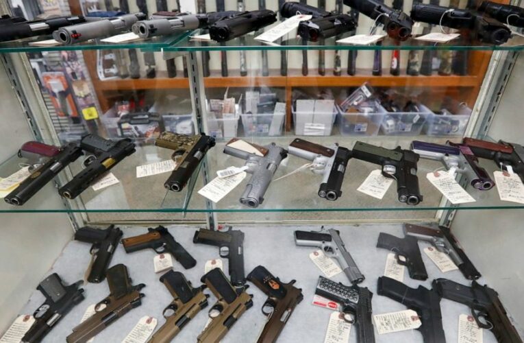 Background checks blocked a record high 300,000 gun sales