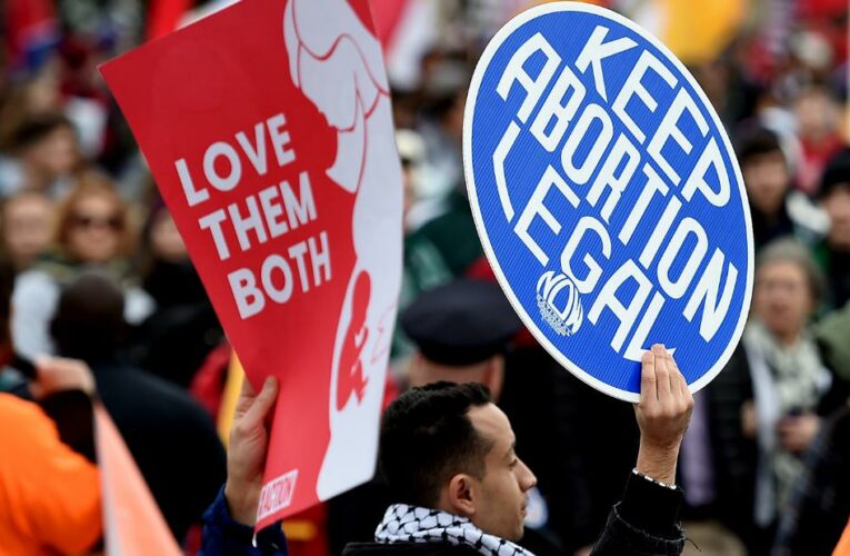 The state’s attorney general called the landmark decision ‘egregiously wrong’ and urged justices to allow a law that bars most abortions after 15 weeks