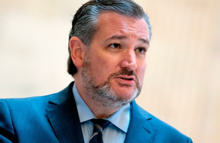 Democrats and Republicans say the senator’s extraordinary effort, which triggered a fiery shouting match, is hindering US efforts abroad