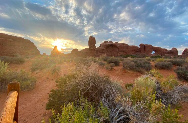 Visitors turned away as national park fills up