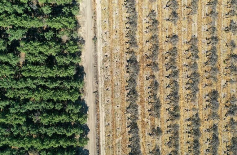 Opinion: Farmers like me want to join fight against climate change. But we need help