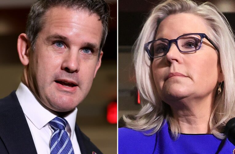 A growing group of Republicans are pushing for the House minority leader to punish them for joining the January 6 committee