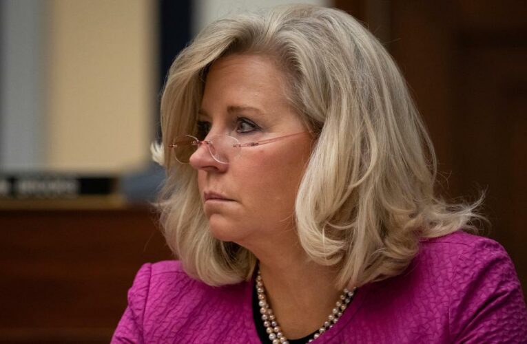 ‘You f**king did this’: Cheney rips Jim Jordan after Capitol riot