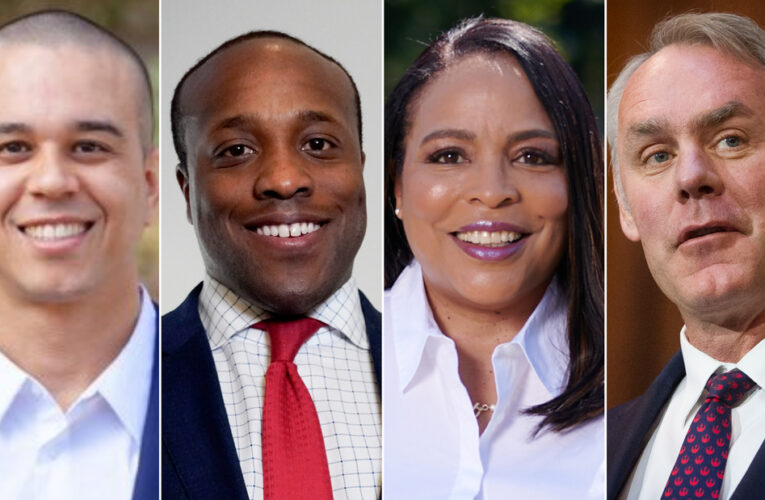 A data delay has politicians launching congressional bids without even knowing their opponent