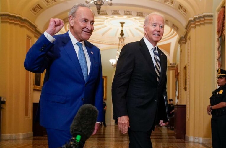 Dems work fast to counter Trump’s reshaping of federal bench