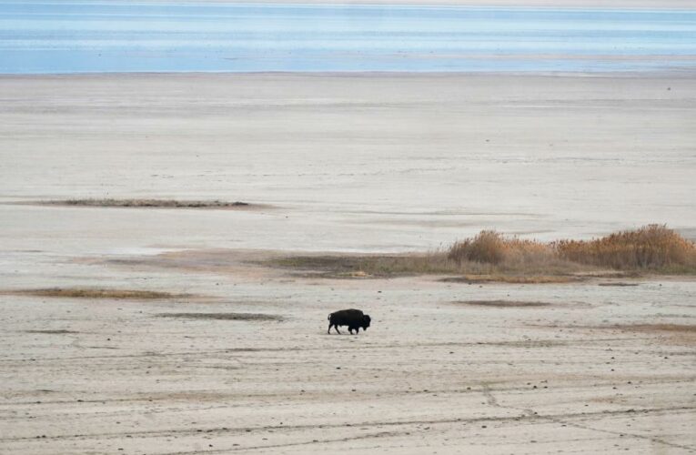 Opinion: America’s West is drying out. Here’s what we can do about it